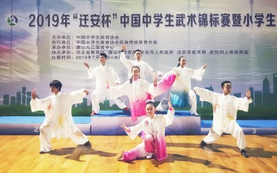 2019年“遷安杯”中國中學生武術錦標賽團體總分獎小學第三名（一等獎）